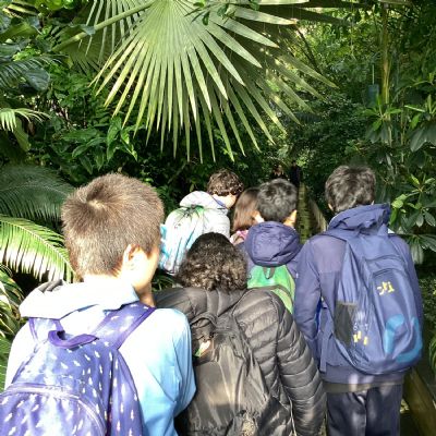 IMG0468